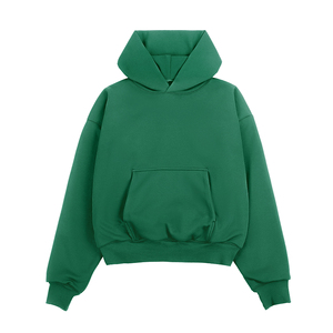 Sweat-shirts à capuche pour hommes en coton 100% avec logo personnalisé, streetwear, poids lourd pour l'hiver, polaire 410 430 550 600 GSM - Product Image 1