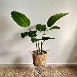 Accessoires de jardin, pot en jacinthe d'eau écologique, prix le plus bas, paniers en fibres naturelles pour plantes - Product Image 5