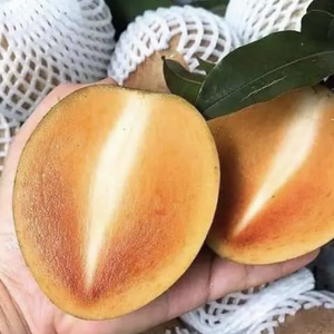 Fruits de saponilla congelés IQF pour les acheteurs de boissons, de services alimentaires et de vente au détail - Product Image 1