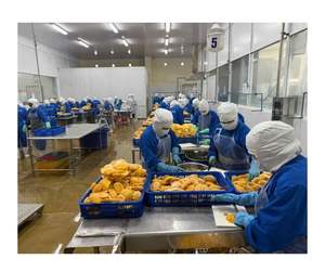 Morceaux tropicaux de mangue congelés à l'arôme doux-Dés de mangue congelés Vietnam selon des processus stricts Idéal pour les boissons d'été - Product Image 5