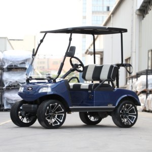 Flota de campos de golf Vehículo eléctrico UTV Sightseeing Mini Car 2 Seat para la venta Buggy HDK EVOLUTION Carrito de golf eléctrico - Product Image 3