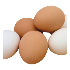 Œufs de poule frais de qualité supérieure avec des coquilles propres et des jaunes d'œufs dorés pour la cuisine, la pâtisserie et le petit-déjeuner - Product Image 3