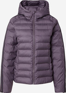 Vente chaude élégant à la mode tricoté femmes dynamique bouffant matelassé veste d'hiver avec remplissage en polyester - Product Image 5