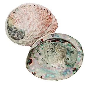 Quemador de incienso de concha de abulón estándar con diseño único, cuenco para difuminar estilo amor náutico con Interior de arcoíris - Product Image 1