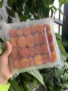 ส้มโอแห้งพรีเมียมเวียดนาม ขายส่งเพื่อการส่งออก คุณภาพคงที่และอายุการเก็บรักษายาวนาน - Product Image 3