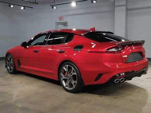 VENTA EN SUBASTA: Stingers GTI 2020 en Venta - Listos para Exportación - Product Image 2