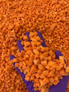 Premium IQF Frozen Carrot Slices & Diced <b>Fresh</b> <b>Vegetables</b> for Food Processing Wholesale from Vietnam - Product Image 1