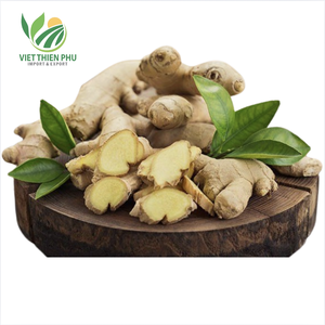 Viet Thien Phu Gingembre frais biologique 100% qualité supérieure naturelle pour la cuisine et les bienfaits pour la santé Prix - Product Image 2