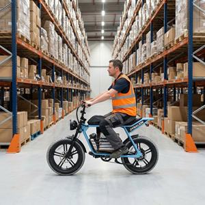 Vélo électrique rétro à pneus larges, économique et performant, avec écran LCD, expédition depuis l'entrepôt pour commandes en gros prêtes à être expédiées - Product Image 6