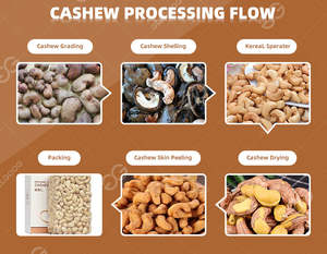 Ligne de production automatique de transformation des noix de cajou Fabricants de machines de transformation des noix de cajou - Product Image 2