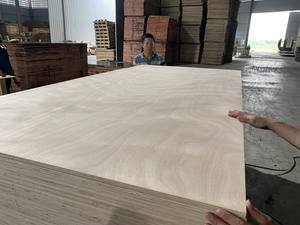 Contrachapado comercial vietnamita de 12 mm con superficie de Okoume, el mejor material para estanterías - Product Image 4