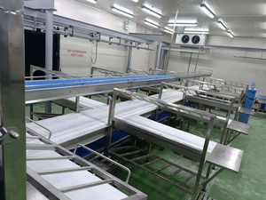 <span class=keywords><strong>Source</strong></span> usine conception professionnelle chiffre d'affaires industriel boîte convoyeur traitement de la viande ligne de convoyeur à bande - Product Image 4