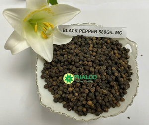 Approvisionnement en gros direct usine de poivre noir entier premium du Vietnam 500 580 GL FAQ MC Pinhead - Product Image 2