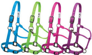 Cabestro de caballo ajustable de alta calidad, cuello de cabeza de carreras de cuero personalizado, Productos Ecuestres equinos - Product Image 4