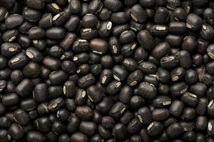Urad Negro Premium, Vigna Mungo, Grado Alimenticio, Limpio, Clasificado, Tamaño Uniforme, Baja Humedad, Calidad Pura Garantizada, Legumbres Naturales - Product Image 4