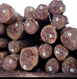 Bûches rondes de bois Tali et Doussie de qualité export pour l'exportation - Product Image 1