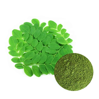 Bubuk Daun Moringa Oleifera Murni & Alami Terlaris Grosir 100% Lulus Ukuran 80 Mesh Langsung Dari India - ELITE HERBALS