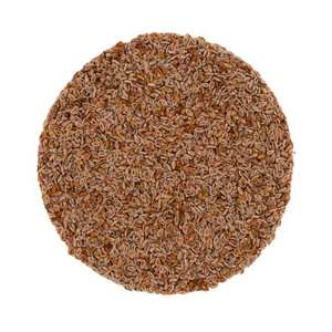 Hierba de origen indio Psyllium Husk Seed Isabgol Plantago Ovata Semilla de calidad de exportación para siembra y fines sanitarios - Product Image 1