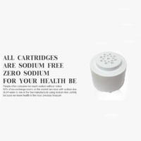 Système de filtration de douche à main personnalisé OEM/ODM avec médias GAC de noix de coco et sulfit de calcium, en matériau ABS, 100 % testé pour les fuites, manuel, pour extérieur et voiture