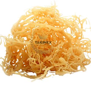 Vietnam 100% Natural de alta calidad oro mar musgo irlandés Wildcrafted secado al sol Seamoss - Product Image 1