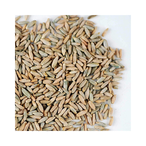 Grain de seigle pur biologique à vendre - Product Image 1