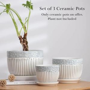 Lot de 3 pots de fleurs en céramique texturée avec soucoupe Mignon jardinière succulente d'intérieur et de jardin pour la maison - Product Image 6