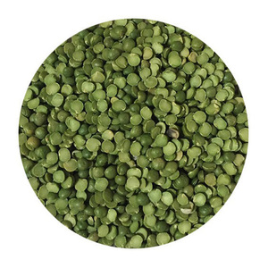 Lentejas verdes de la mejor calidad Lentejas enteras Lentejas divididas Mejor precio Calidad Masoor Dal - Product Image 2