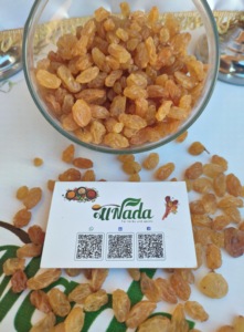 Premium Egyptian Golden Raisins Natural Dried 99.99% Purity Whole Natural Sweet <b>Customized</b> <b>Packaging</b> Export Quality 24 Months - Product Image 5