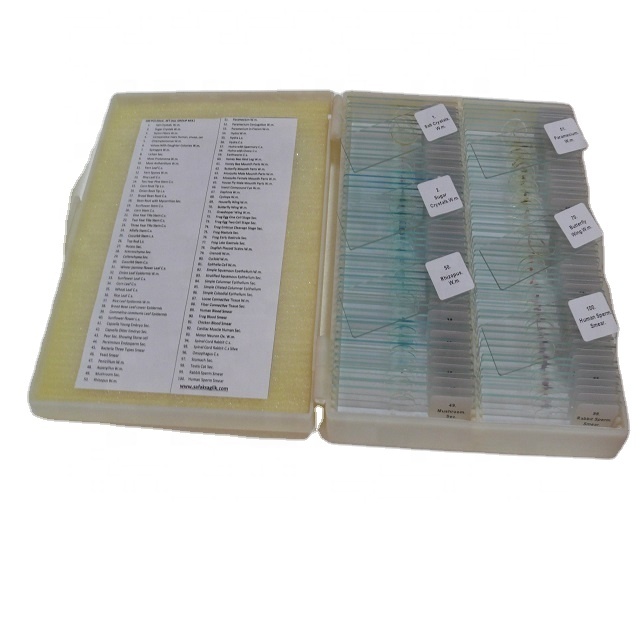 Microscope Slides - Zoology 100pcs Animal Prepared Slides High Quality Educational Supplies for Zoology