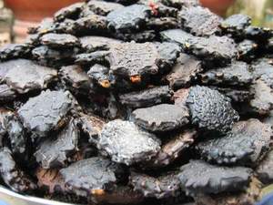 SUN-FRUIT GAC SEED / CLEAN BOTANICAL/BIENESTAR INMUNE/ALTA CALIDAD - Product Image 2