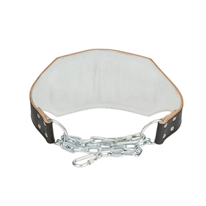 Cinturón de Soporte Lumbar con Peso de Neopreno de Alta Calidad, Equipo de Gimnasio Unisex Antideslizante para Levantamiento de Pesas, Dominadas y Fondos - Product Image 5
