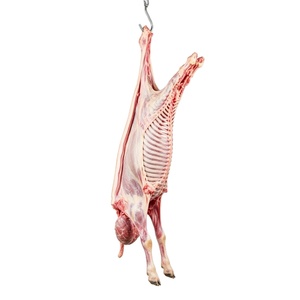 Carne de Cordero Congelada con Certificación Halal, Cortes de Carne, Proveedor de Calidad de Exportación, Fábrica, Venta al por Mayor a Granel, Logística Global - Product Image 1