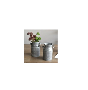 Bac à plantes de jardin galvanisé robuste pour planter des fleurs, des légumes et des herbes dans un décor rustique de style ferme - Product Image 1