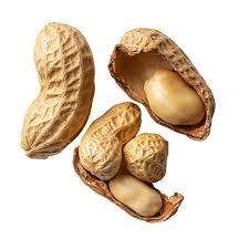 Arachides les plus vendues 25/29 Arachides entières saines, brutes, séchées et grillées, blanchies - Product Image 3