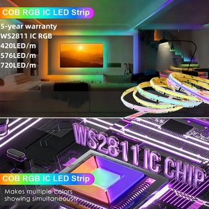 Bande LED COB Dream Color 12V/24V 1m Haute Luminosité Étanche 16 Millions de Couleurs DC 12-24V 60Hz WS2811 24Bit - Product Image 2