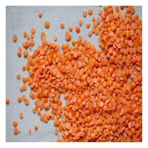 High purity red <b>lentils</b> non branded bulk export natural split <b>lentils</b> for global food industry and wholesale buyers - Product Image 6