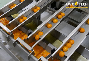 Rompehuevos OVO-TECH RX-6, 39000 Huevos/Hora, Acero Inoxidable 304, Caja de Cambios Totalmente Automática, Máquina para Romper Huevos para Uso Comercial - Product Image 5