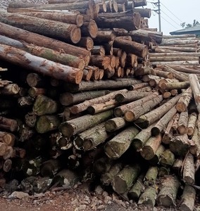 Produits en bois de haute qualité du Vietnam - Product Image 2