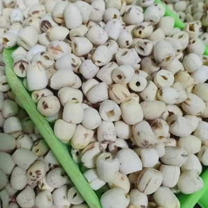 เมล็ดบัวอบแห้งจากเวียดนามพร้อมส่งออกไปทั่วโลก - Product Image 3