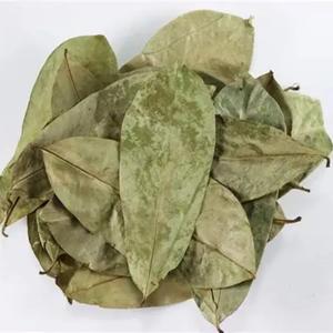HOJAS SOURSOP SECAS CALIDAD PREMIUM DE VIETNAM - Product Image 1