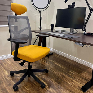 Tone-01 HOGVP062 Premium Swivel Office <b>Chair</b> Ergonomic Headrest Modern for Home Workshop Bedroom School Hospital Use Made PP - Product Image 3
