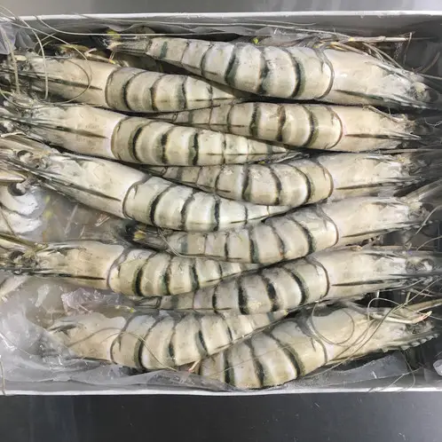 Wholesale price shrimp vannamei delicious frozen seafood prawns frozen