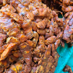 Bolsa de PP de almacenamiento en seco de tamarindo 2 años de vida útil UD STAR LABORATORIES Indonesia - Product Image 1