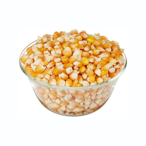 Oferta de fábrica: Maíz amarillo premium seleccionado para suministro al por mayor - Product Image 1