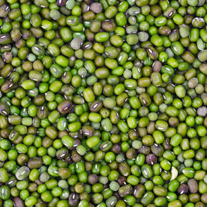 Suministro directo de fábrica a granel Frijoles Mung secos ricos en proteínas orgánicas naturales frescas Frijoles Mung verdes Premium para venta internacional - Product Image 4