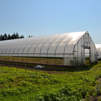 Zuid-Afrika Commerciële Tomatenkas 8X40M | Gegalvaniseerd Stalen Frame + Polycarbonaat Panelen | Hoge Opbrengst Plantsysteem