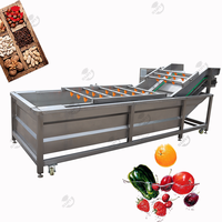 Machine de nettoyage automatique électrique pour fruits et légumes en acier inoxydable 304 à vendre
