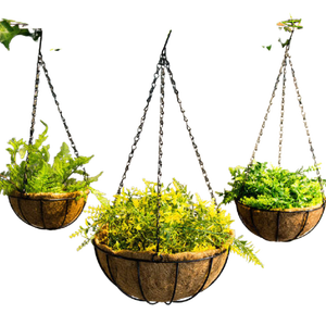 Basketful of Bliss Transforma tus plantas con Coco Coir Elegance - Product Image 2