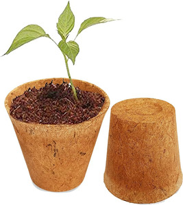 Eco2go Vietnam Origin Coir Seedling Pot | Manufacturer Direct Natural Fiber Nursery <b>Cup</b> - Product Image 3
