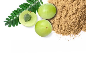 Poudre d'Amla indienne pure et naturelle, qualité export |   100% pur et nettoyé |   Vente en gros en Inde - Product Image 4